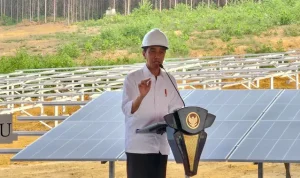 Jokowi berharap investor dan pemerintah Jepang bisa bekerja sama dalam proyek IKN